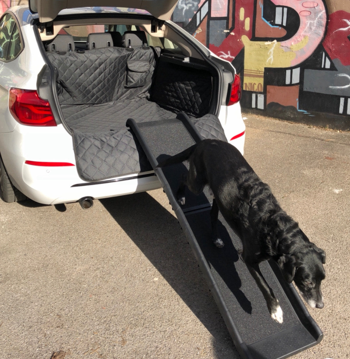 Cody Hunderampe für das Auto tragbar klappbar aus Kunststoff